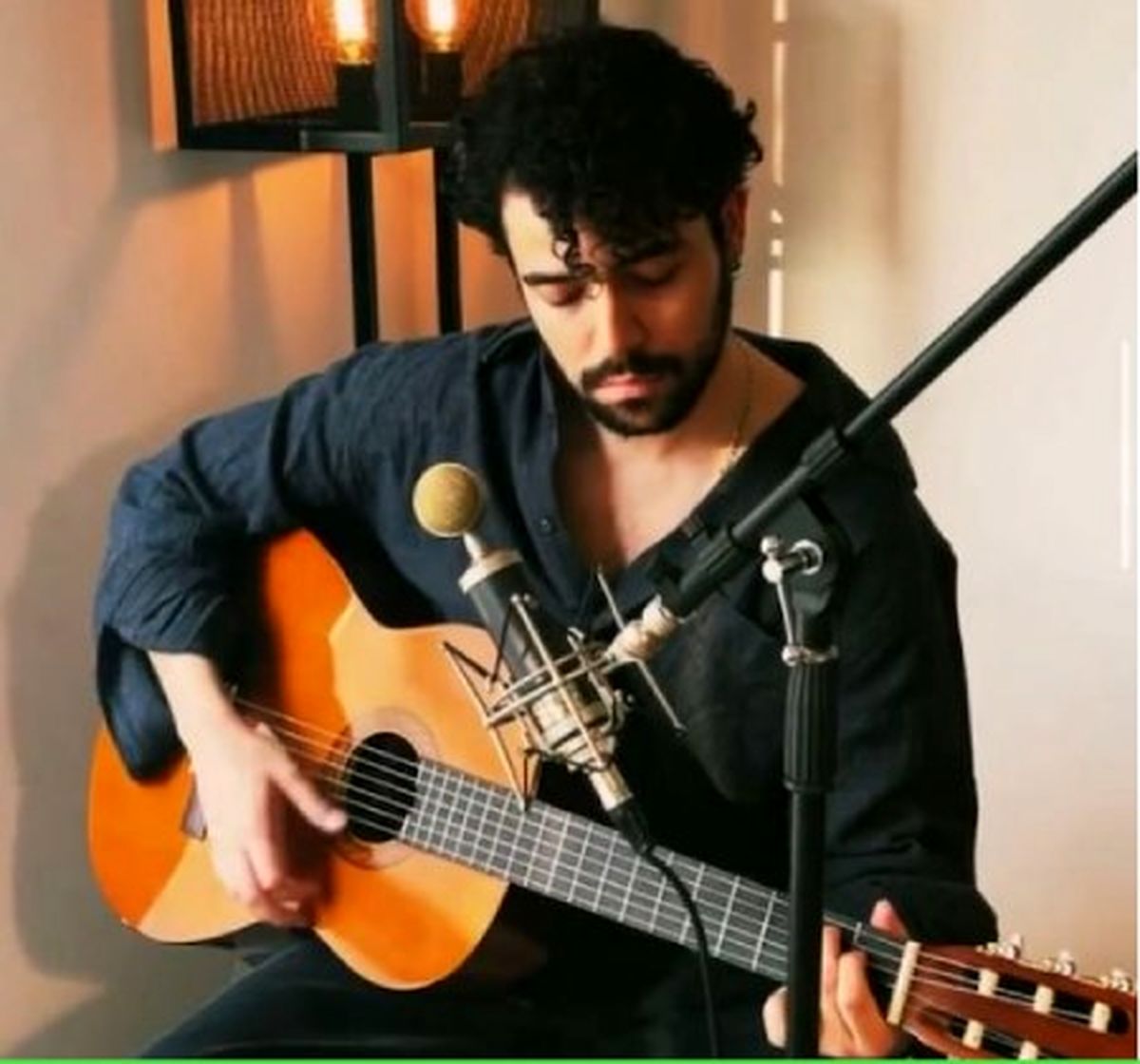 بیوگرافی، حواشی عکس های جدید شروین حاجی پور و نامزد معروفش