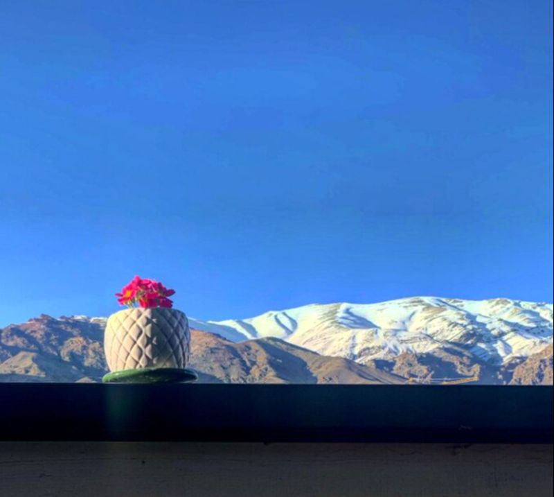مهراوه شریفی نیا