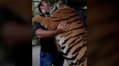 ماجرای زورآزمایی بهداد سلیمی با ببر در قفس! 