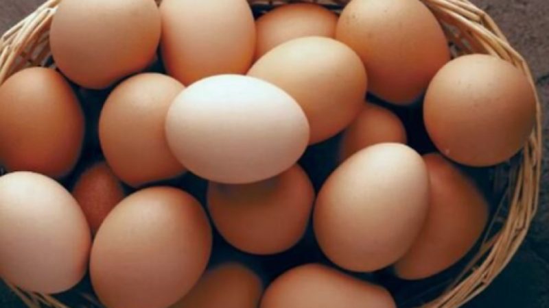 این غذا کلسترول بدن شما را بالا می برد؟ 