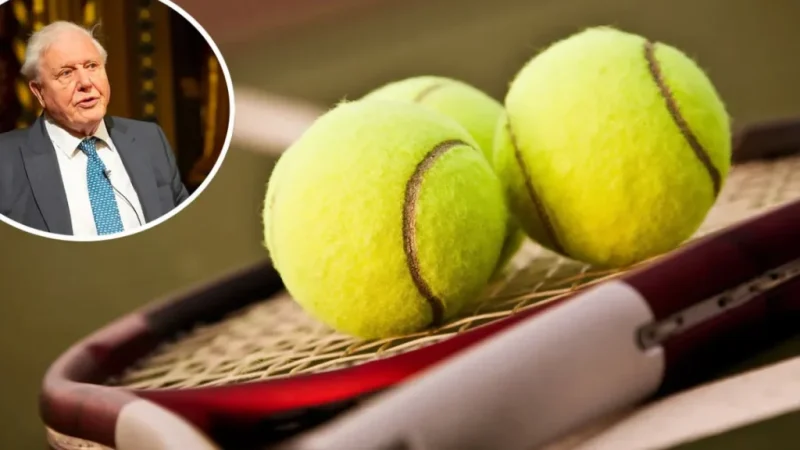 علت زرد بودن توپ‌های تنیس را می دانید؟/ بررسی تاریخچه جالب این ورزش