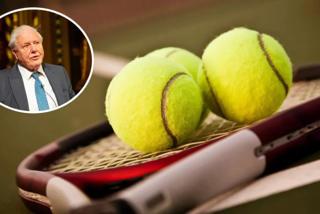 علت زرد بودن توپ‌های تنیس را می دانید؟/ بررسی تاریخچه جالب این ورزش