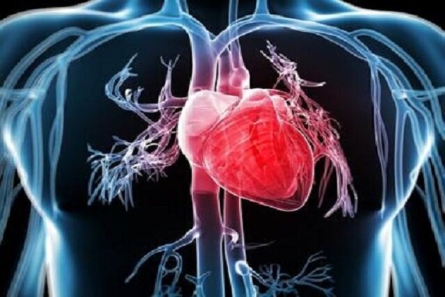 این خوراکی خوشمزه محافظ قلب مردان در برابر استرس‌های ذهنی