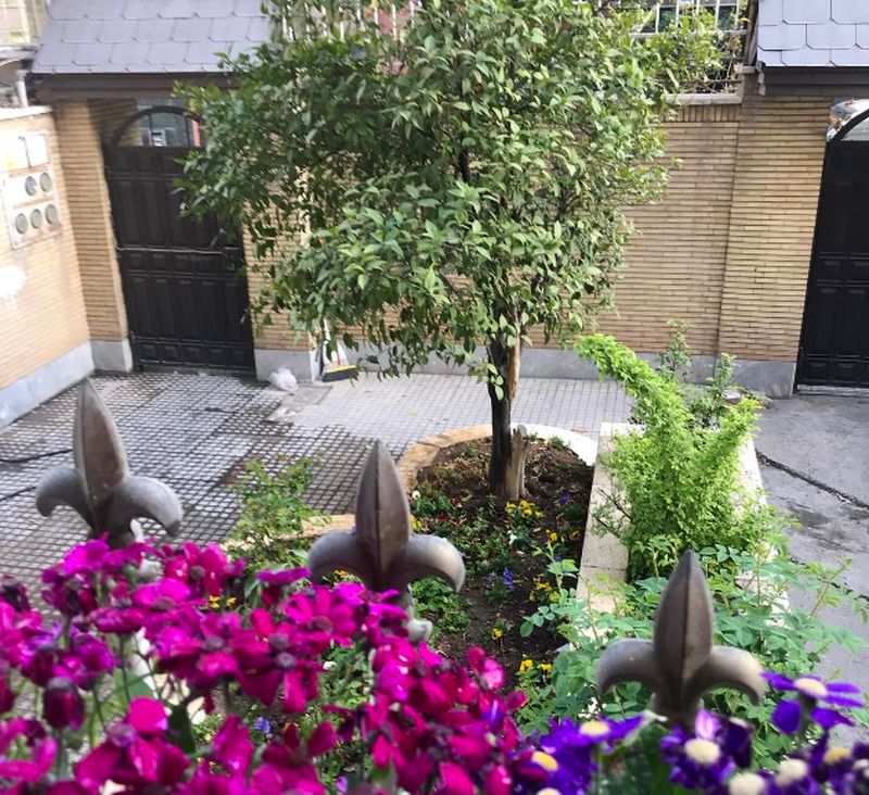 مائده+طهماسبی+و+فرهاد+آئیش