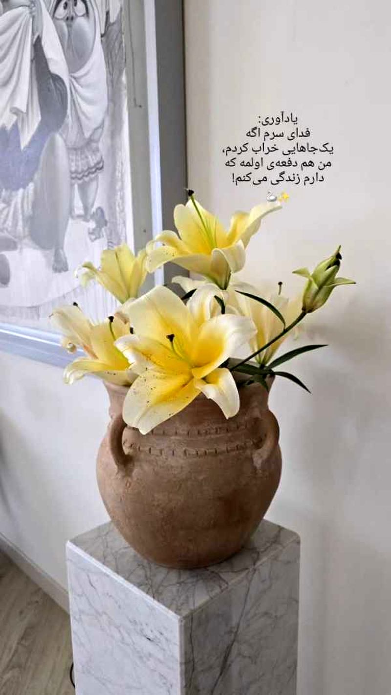 مینا مختاری