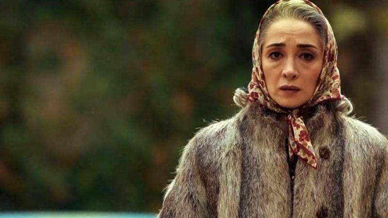 عکس / نگاهی به چیدمان منحصربفرد خانه پانته‌آ پناهی‌ها در کنار سگ و گربه هایش