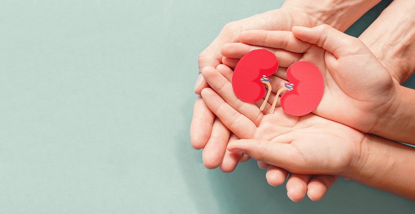 بهترین روش برای اینکه در تابستان دچار سنگ کلیه نشوید