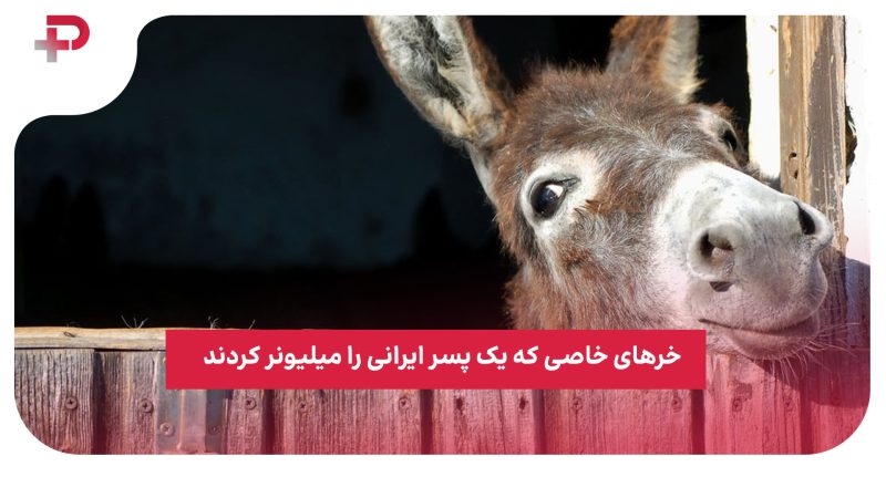 خرهای خاصی که یک پسر ایرانی را میلیونر کردند