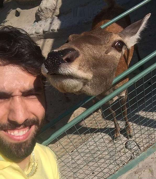 موسوی