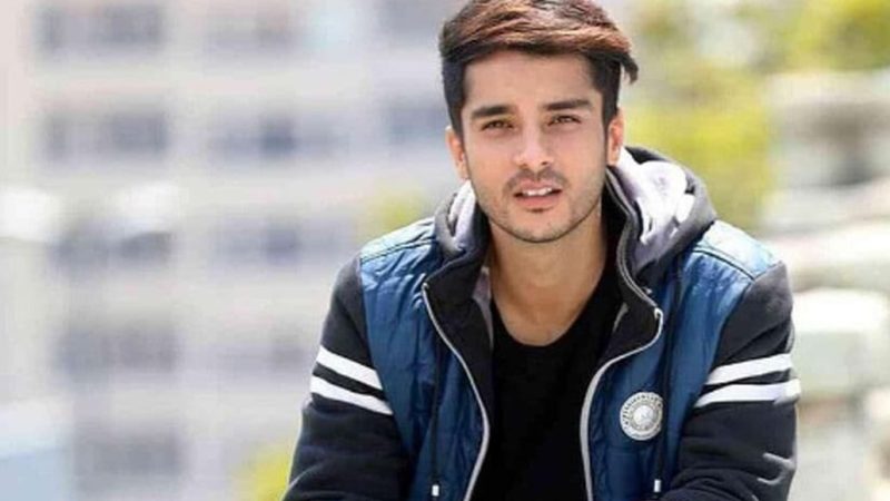 عکس/ رونمایی از گواهی نامه رانندگی جعلی ساعد سهیلی/ همسر گلوریا هاردی راز مخفی اش را لو داد