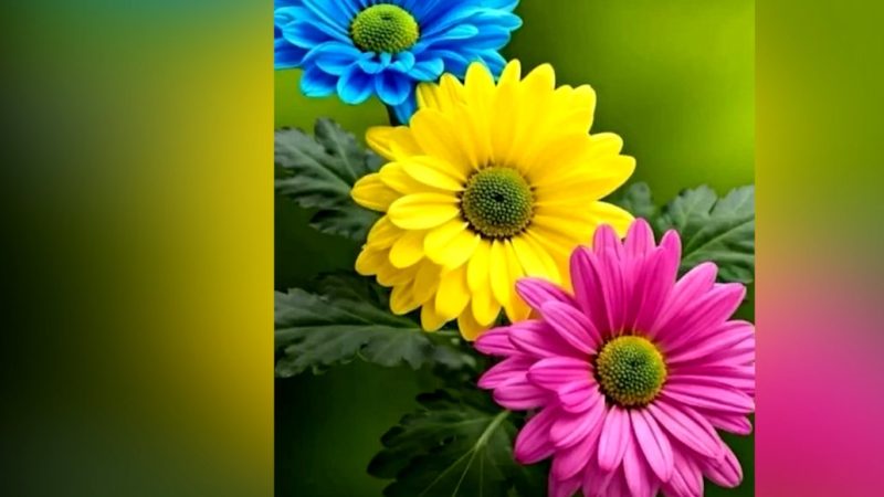 تعبیر فال ابجد امروز 3 شهریور ماه تولد شما چیست؟ 