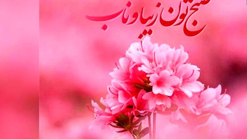 فال ابجد امروز 29 مرداد شما چه می گوید؟ 