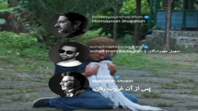 عکس/ تصویری از اولین روز به دنیا آمدن همایون شجریان؛ خوشحالی بی حد و اندازه استاد شجریان 