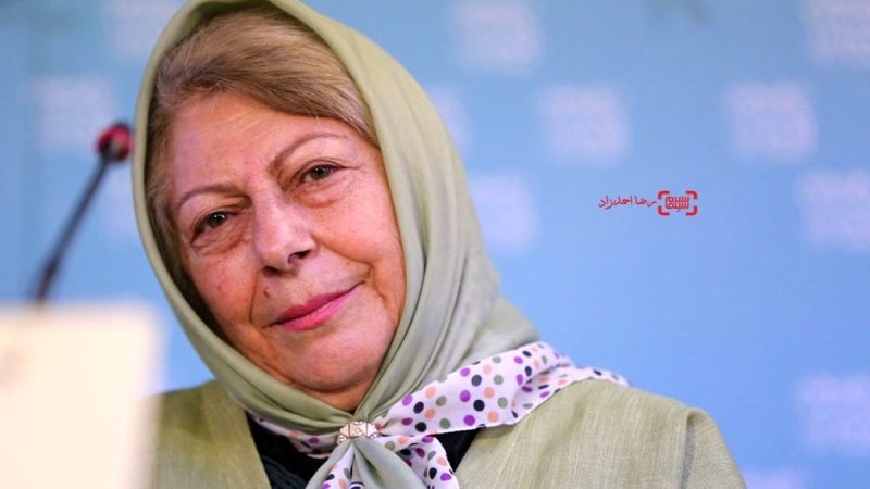 تونل زمان| «بی‌بی گوهر» سریال بچه مهندس ۳ در ۸۴ سالگی 