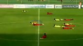فوتبال در تانزانیا و حمله زنبورها به بازی 