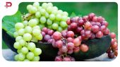 این میوه خوشمزه «اَبَر غذا» است 