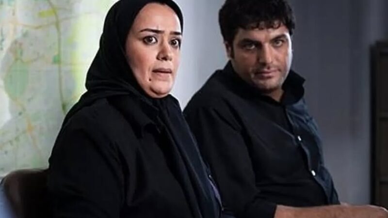 عکس‌| الهام چرخنده در حرم حضرت معصومه (س) /  خانم بازیگر خادم بارگاه کریمه اهل بیت شد!