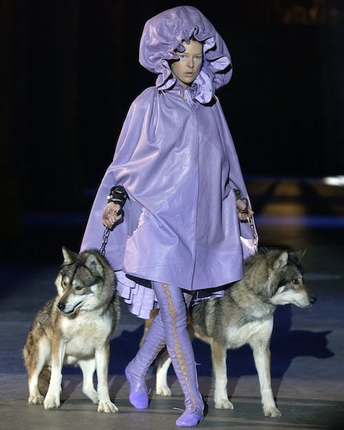 سگها در دنیای مد و فشن