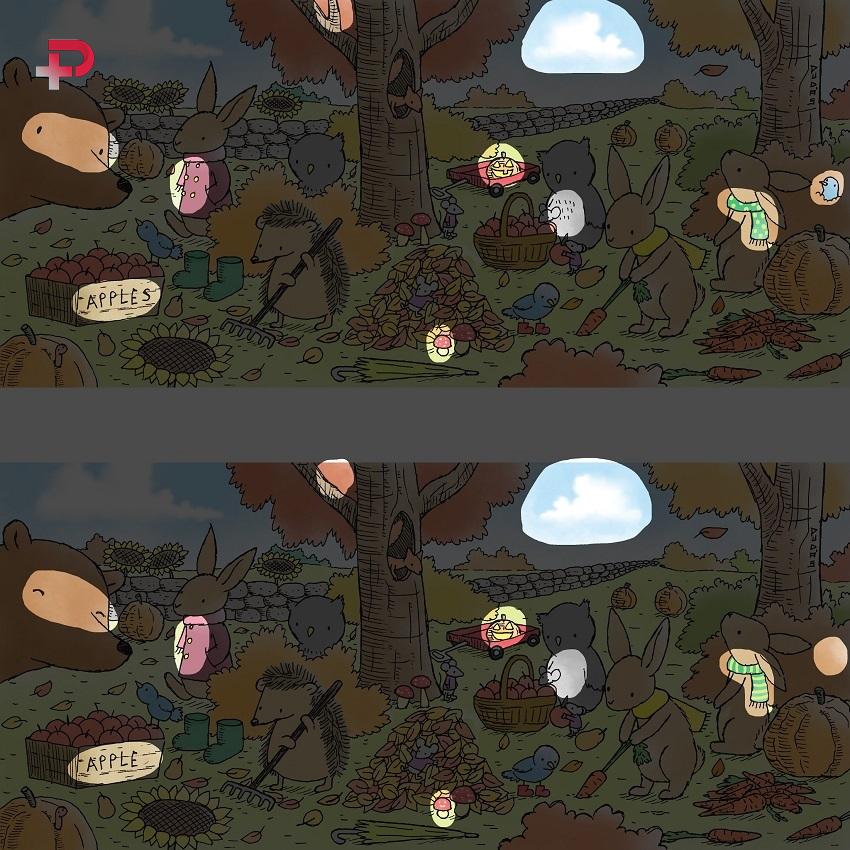 3
