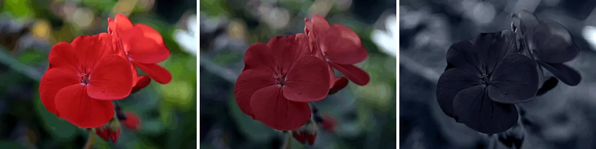 صندلی سینما