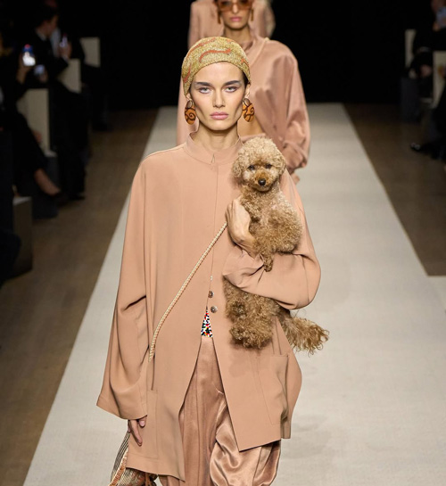 سگها در دنیای مد و فشن