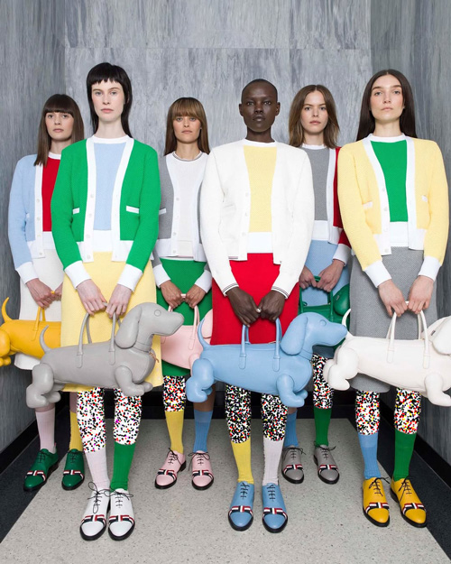 سگها در دنیای مد و فشن