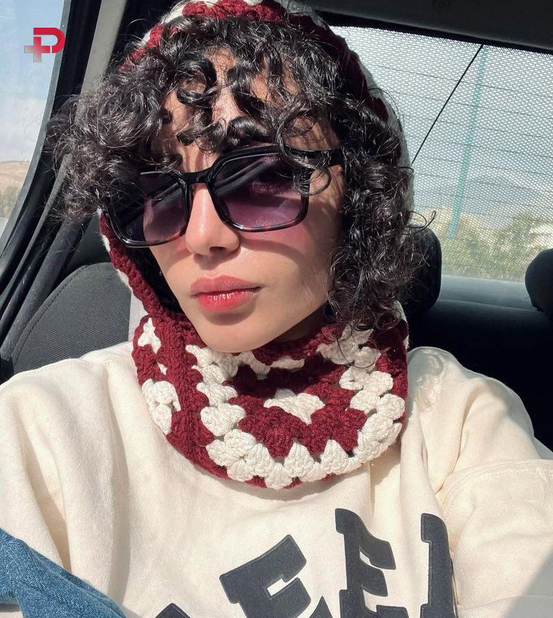 تاریخ وبگردی || تصویری متفاوت از فیس ترلان پروانه