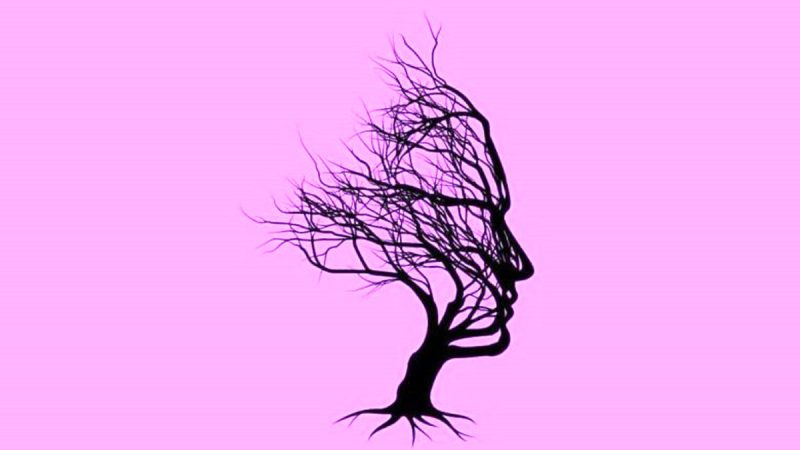 تست شخصیت شناسی را جواب دهید/ اول از همه چه چیزی را می‌بینید؟