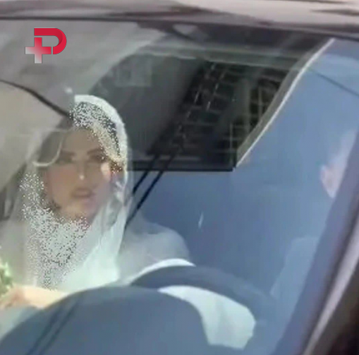 علیرضا بیرانوند