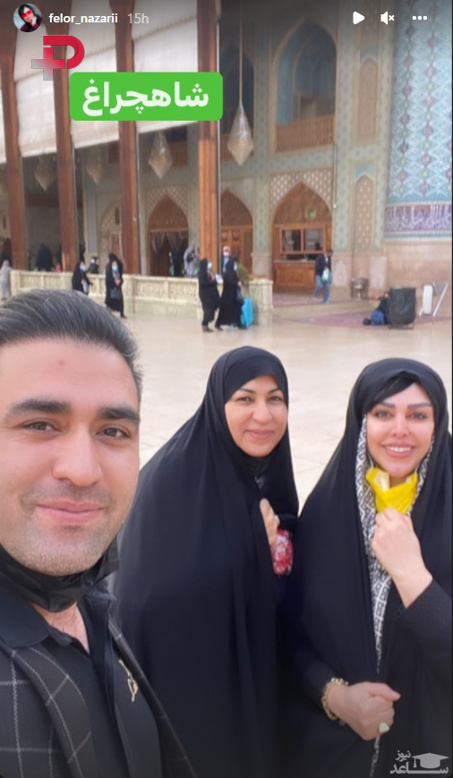 فلور نظری