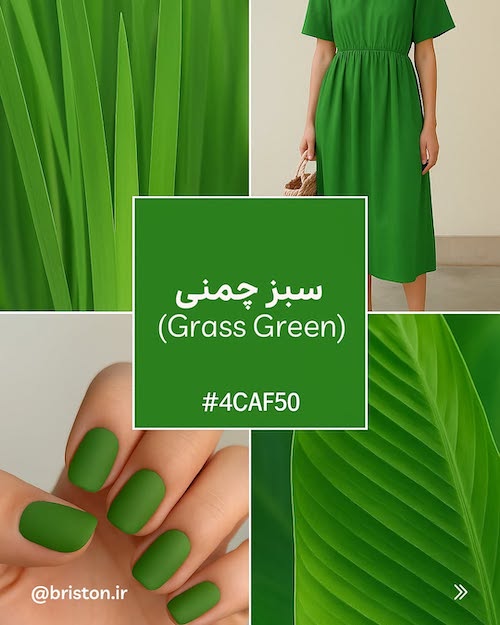 انواع رنگ سبز