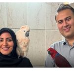 المیرا شریفی مقدم