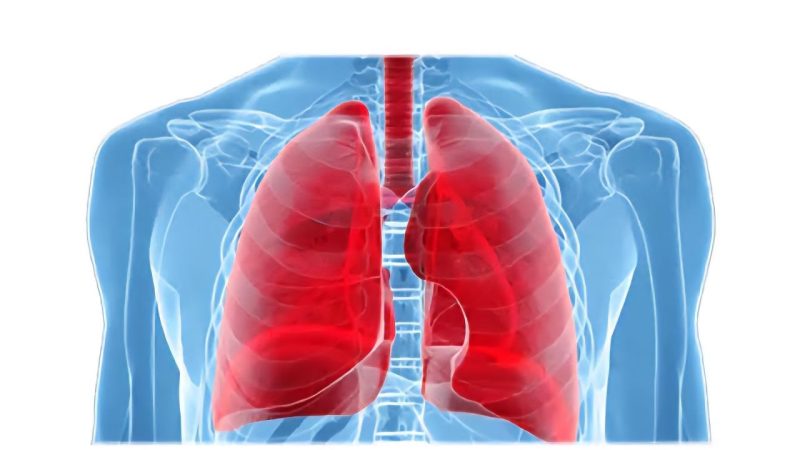 راهکاری ساده برای پاکسازی ریه ؛ با این راه حل ریه هایتان را نجات دهید