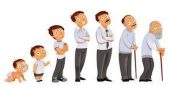 افزایش سن قد ما واقعاً کوتاه می‌کند؟ 