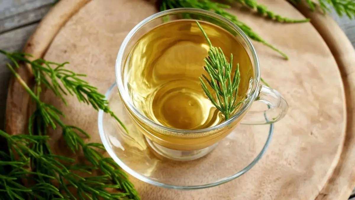 ۷ فایده شگفت انگیز گیاه دم اسبی را بدانید