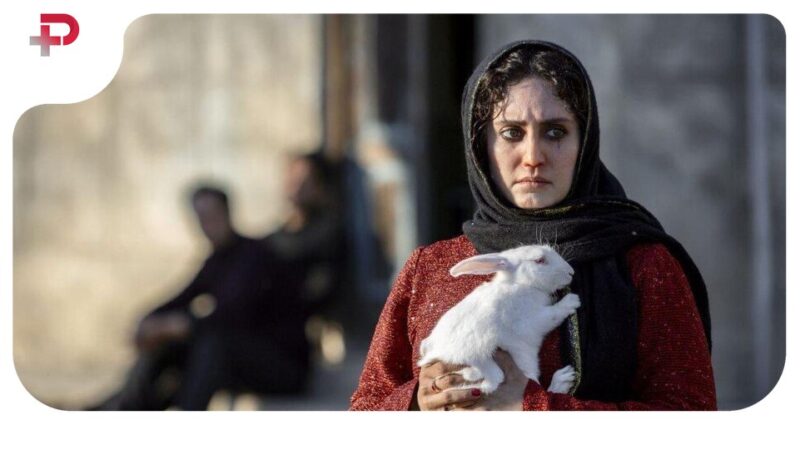 استایل شیک و خانومانه الناز شاکر دوست با کلاه و عینک در رستوران رویایی غذای دریایی