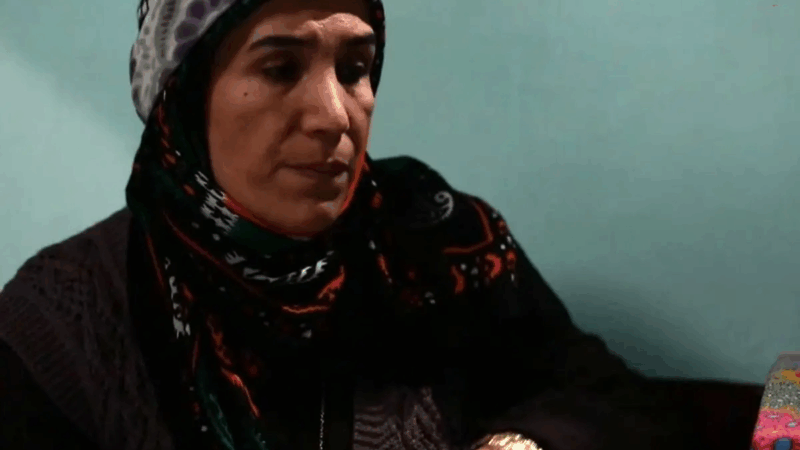 عکس| تغییر چهره نامادری سهند در آنام این‌بار کنار «المان» پس از ۵ سال