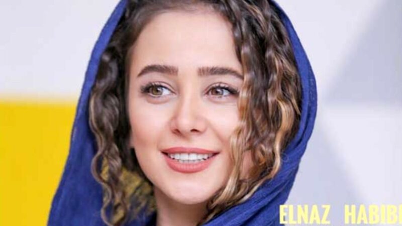 بیوگرافی و حواشی زندگی الناز حبیبی + عکس شوهر اول