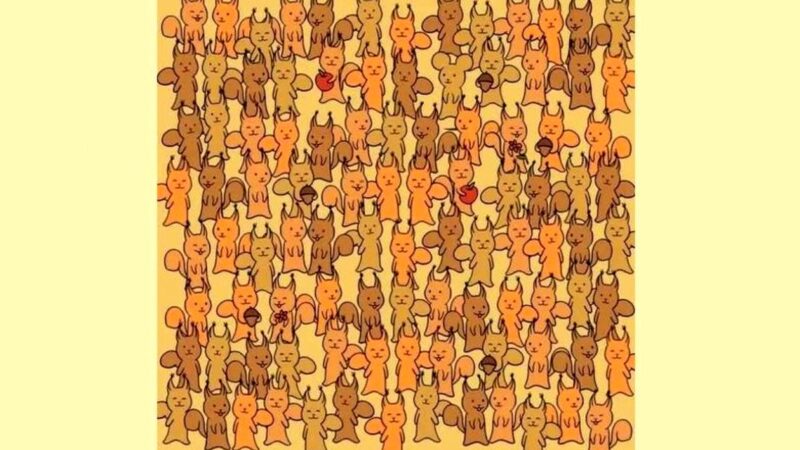 تست بینایی را باهوش ها حل کنند/ پیدا کردن موش میان سنجابها کمتر از  ۵ ثانیه