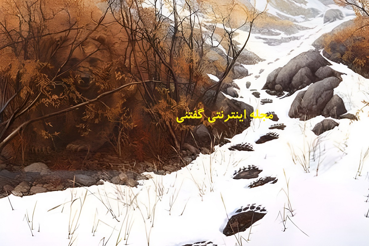 تست بینایی یافتن 2 خرس در طبیعت برفی