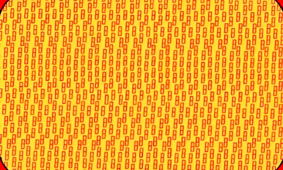 تیزبین ها سه سوته این تست را حل کنند / سعی کنید حرف P مخفی را در عرض چند ثانیه پیدا کنید