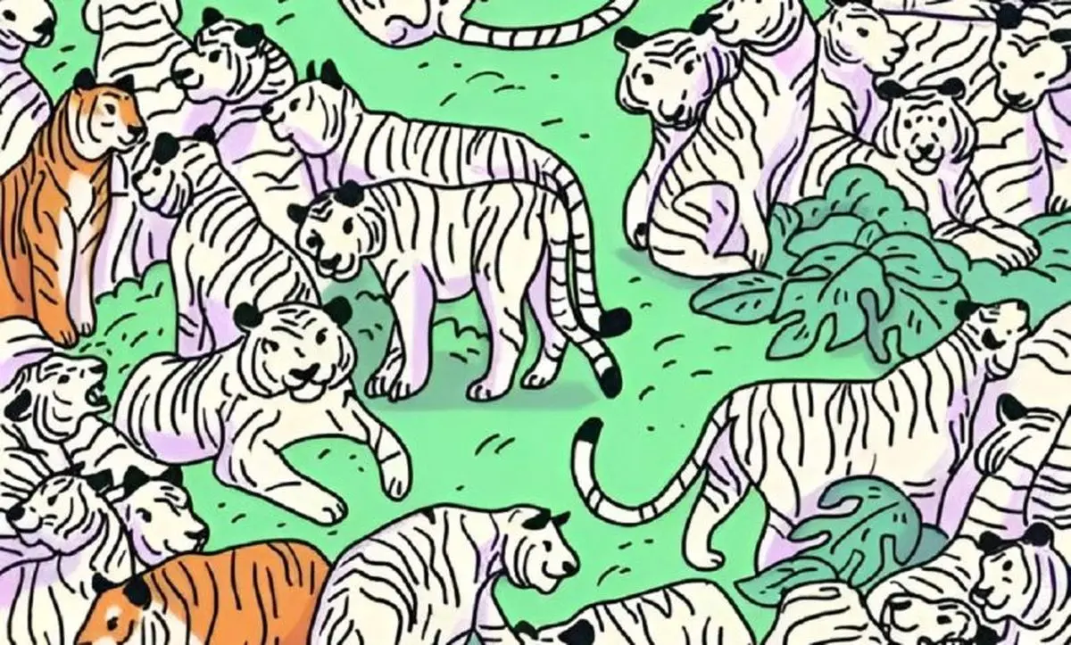 تست بینایی را تیزهوش ها حل کنند/ یک گورخر را که در میان چندین ببر استتار شده است، پیدا کنید