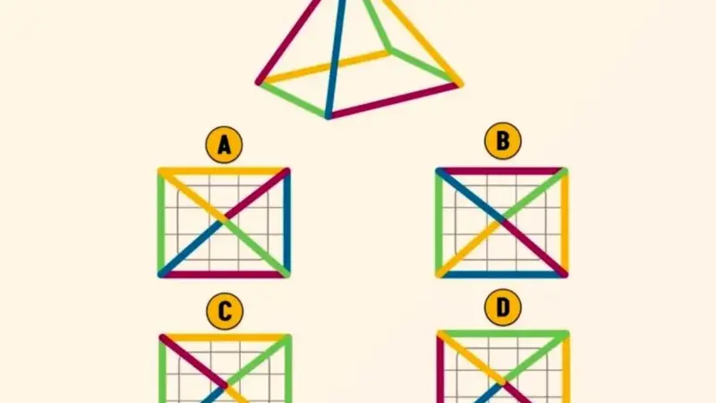 تست هوش را تیزهوش ها حل کنند: کدام نمای بالای هرم درست می باشد؟