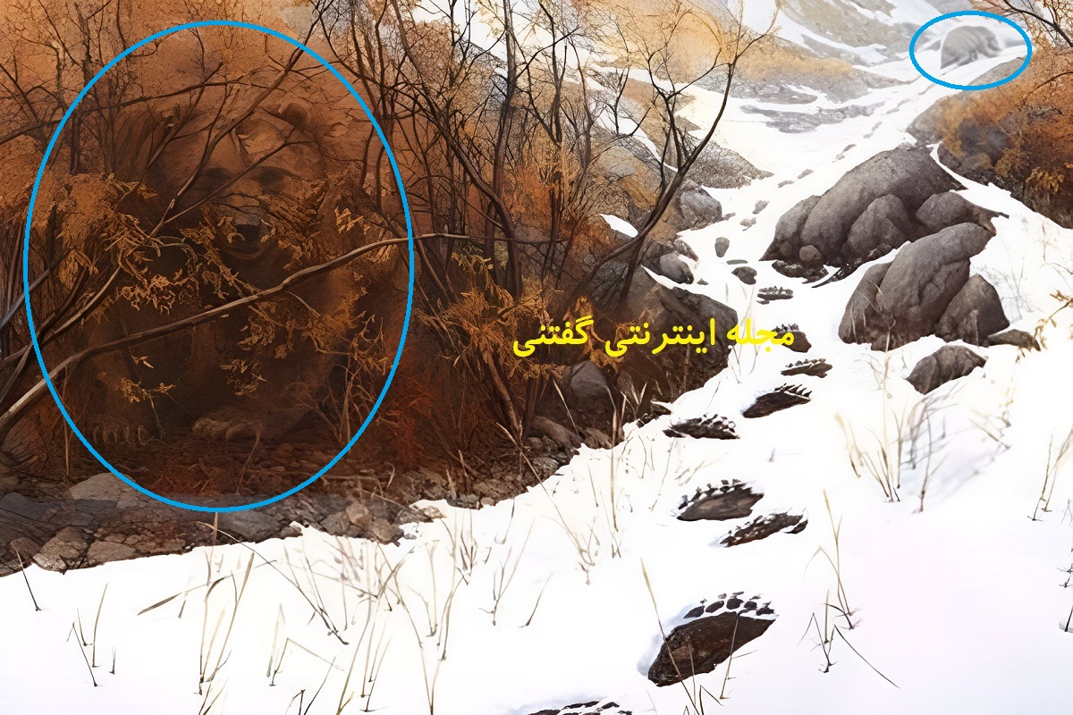 پاسخ تست بینایی یافتن 2 خرس در طبیعت برفی