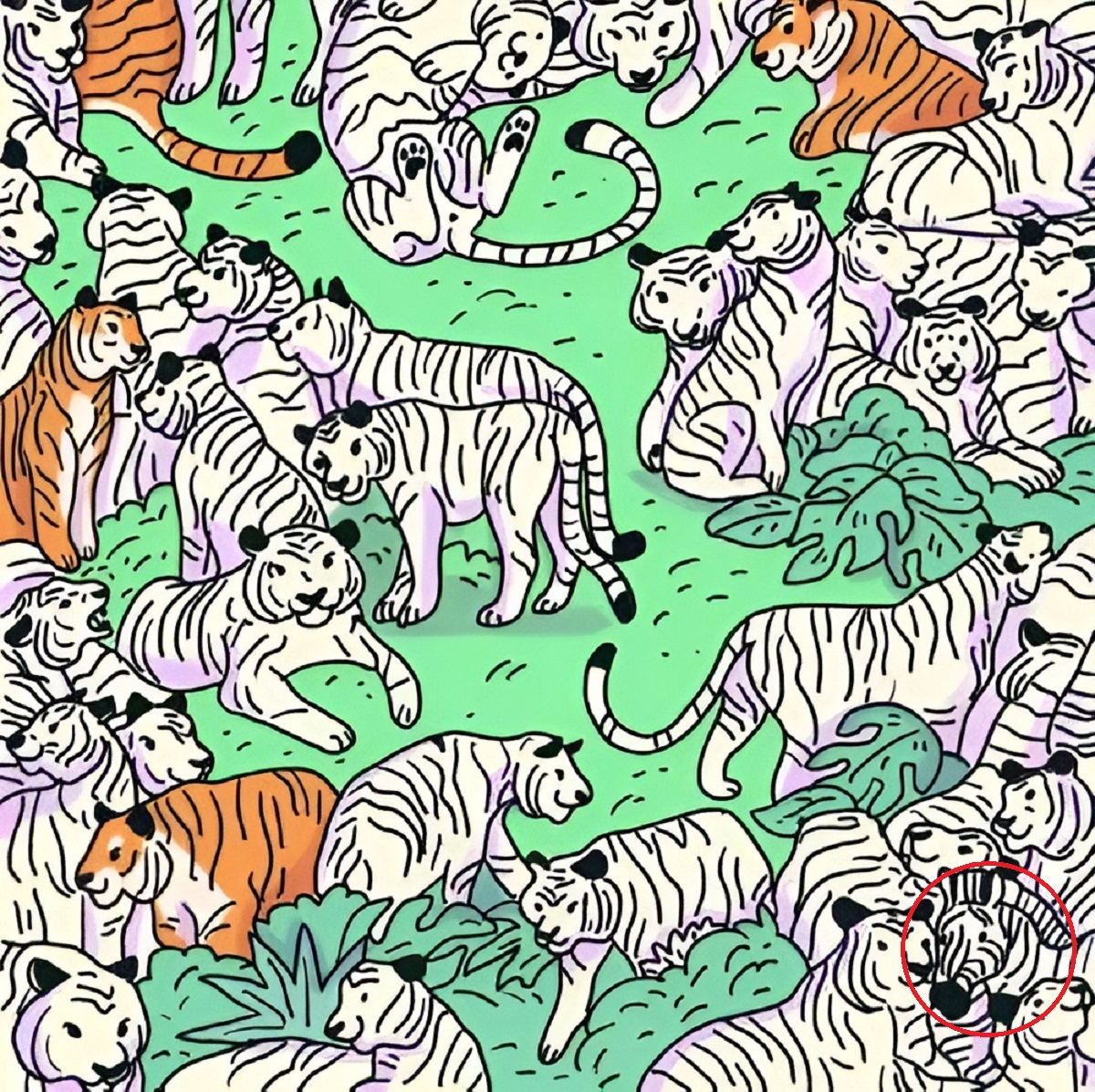 پاسخ تست بینایی یافتن گورخر میان ببر ها