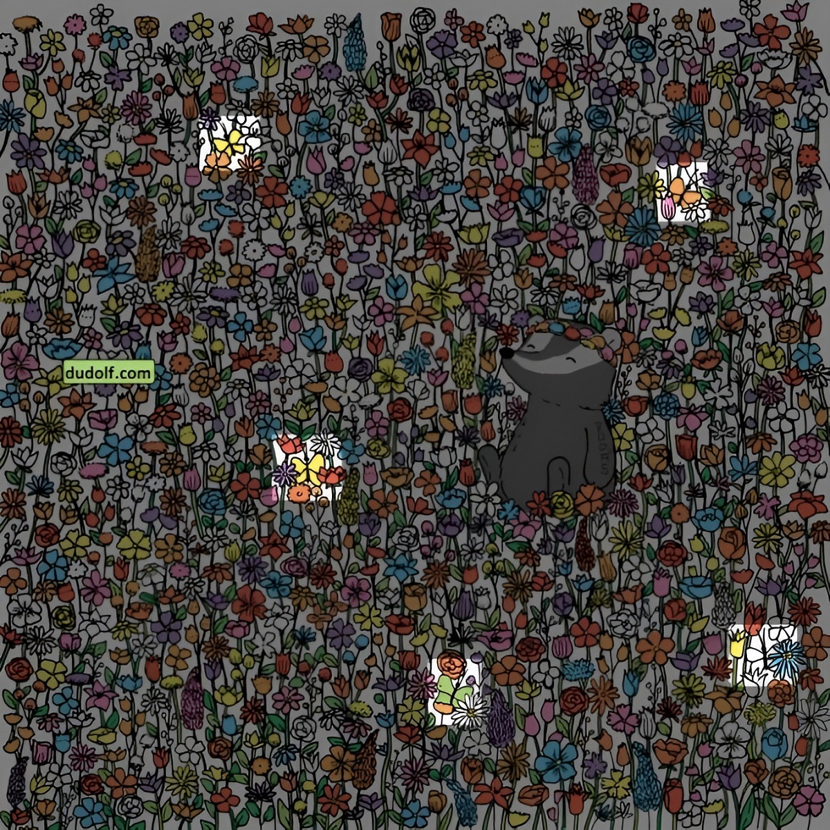 پاسخ تست بینایی ۵ پروانه پنهان شده در میان گلها