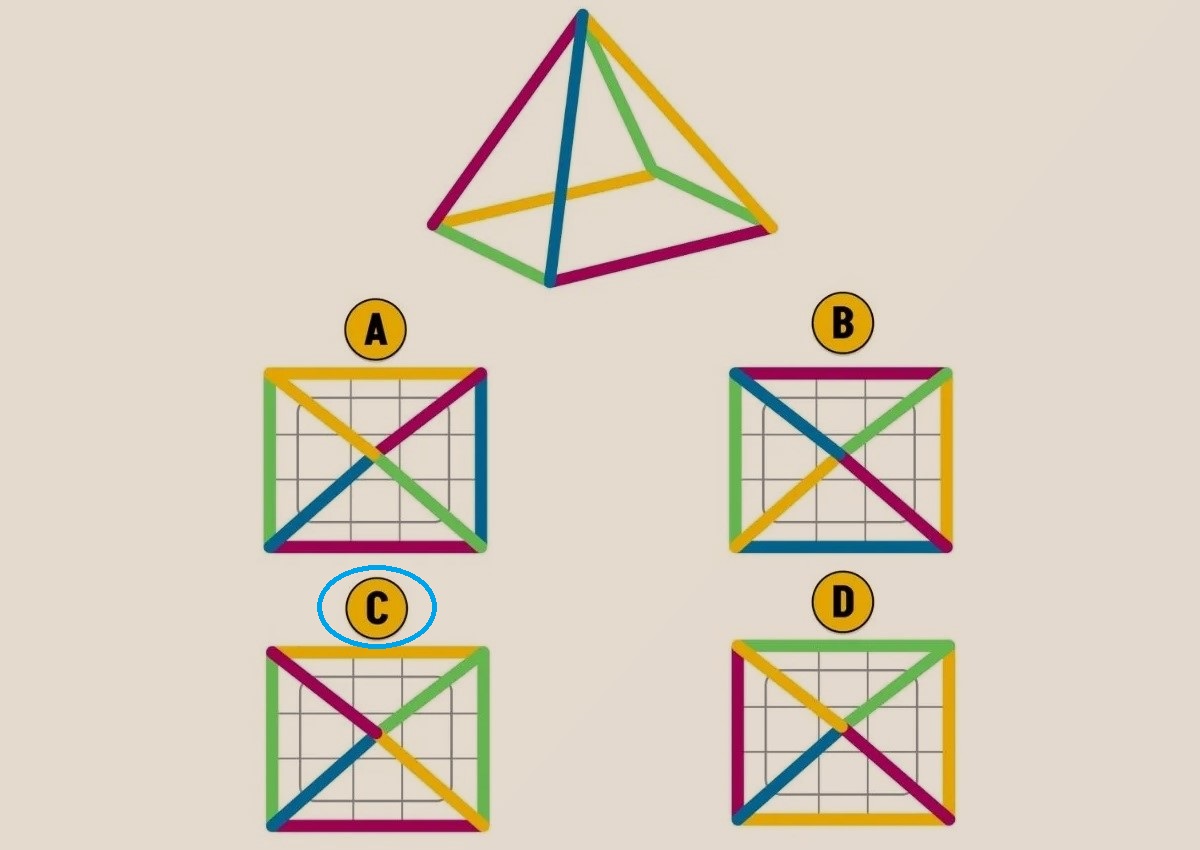 پاسخ تست هوش نمای بالایی درست هرم