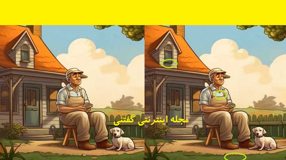 پاسخ تفاوت تصویری پیرمرد و توله سگش