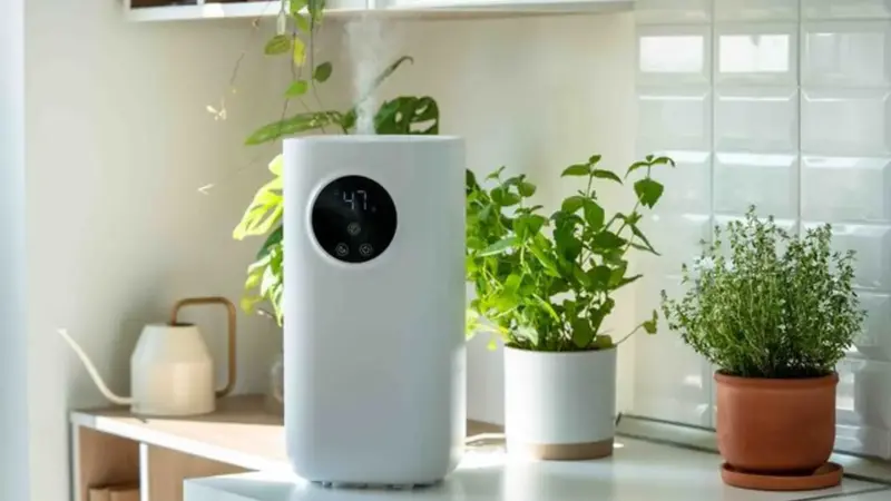 مزایا و معایب استفاده از دستگاه تصفیه هوا را بدانید