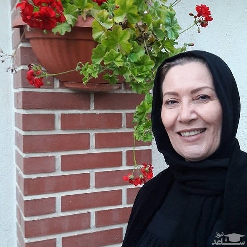 صفا آقا جانی